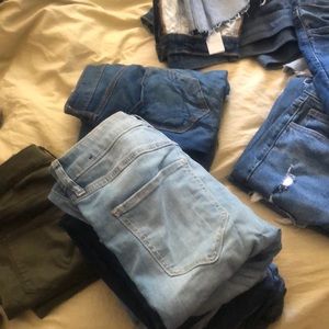 Meet your Posher, Karli